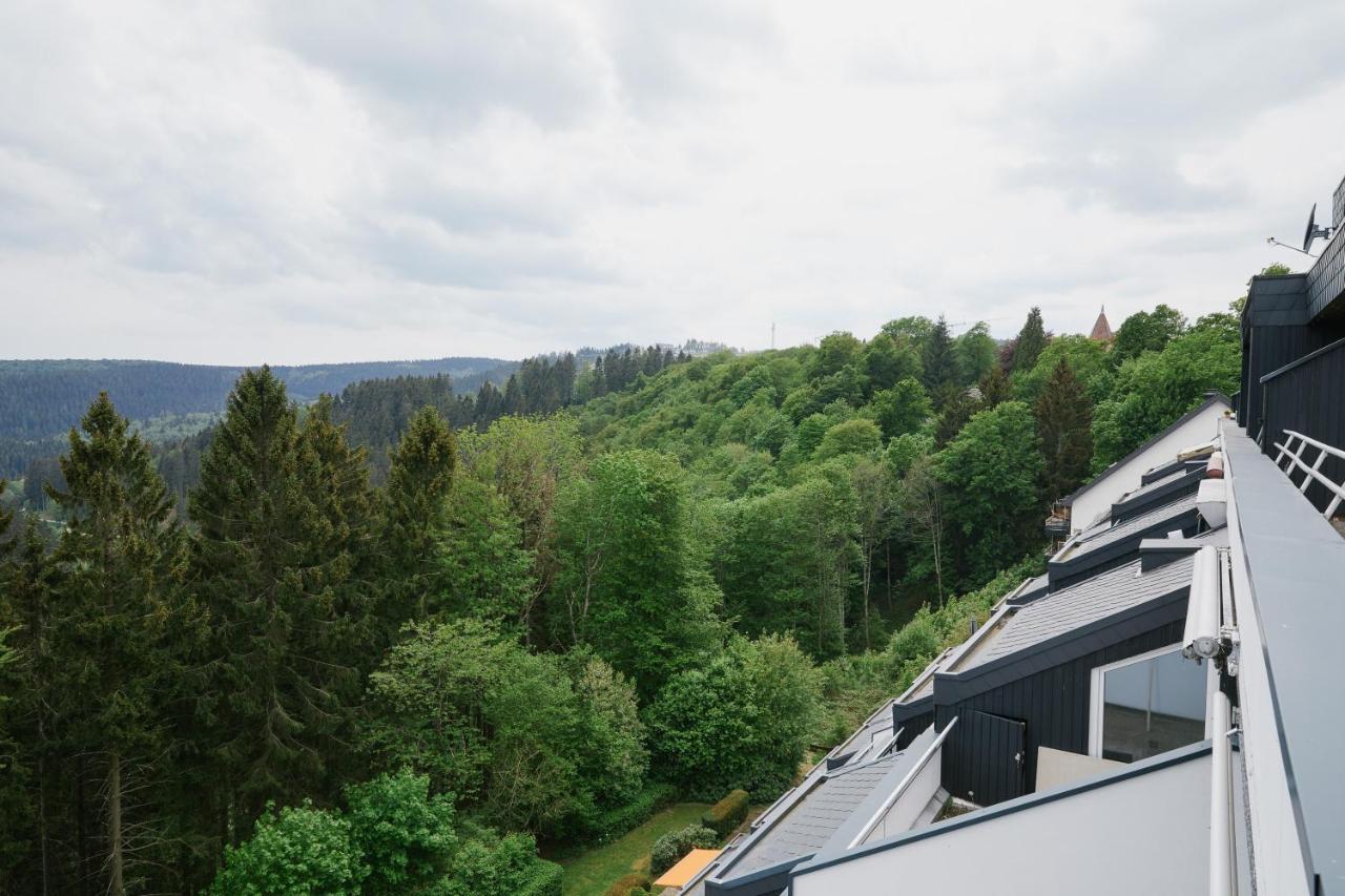 Am Waltenberg 70-MG 'Buena Vista' Winterberg Exterior foto